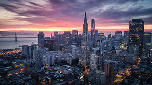 San Francisco by night 