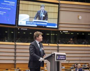 HEC Paris Professor of Law Arnaud Van Waeyenberge at a COSAC plenary session on March 26 2024: Proposals for tackling both the European rule of law and the democratic deficit - c European Parliament 2024