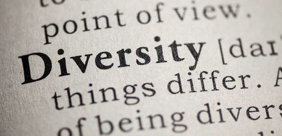 Diversity dictionary definition